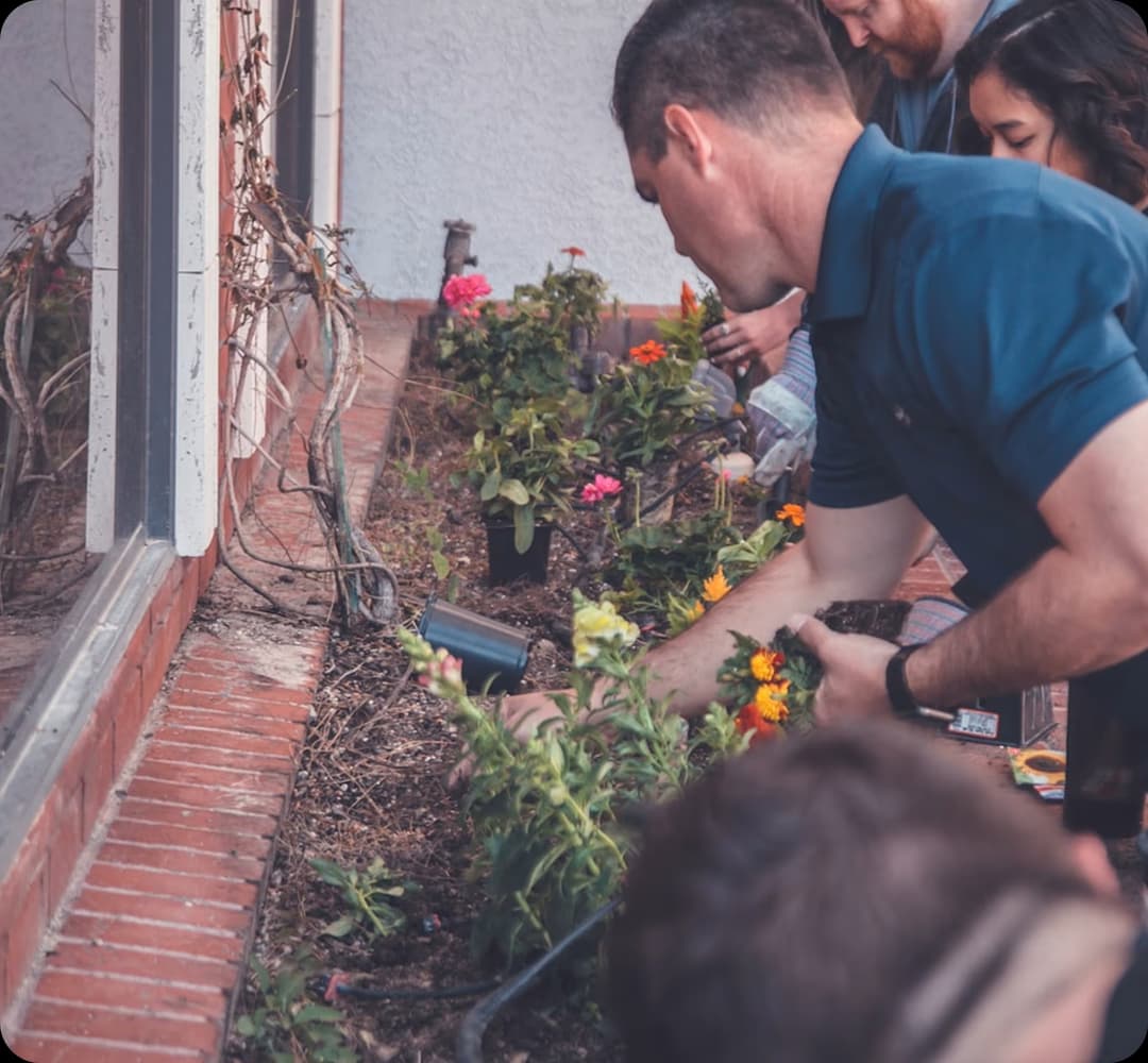 Green_Initiative 5