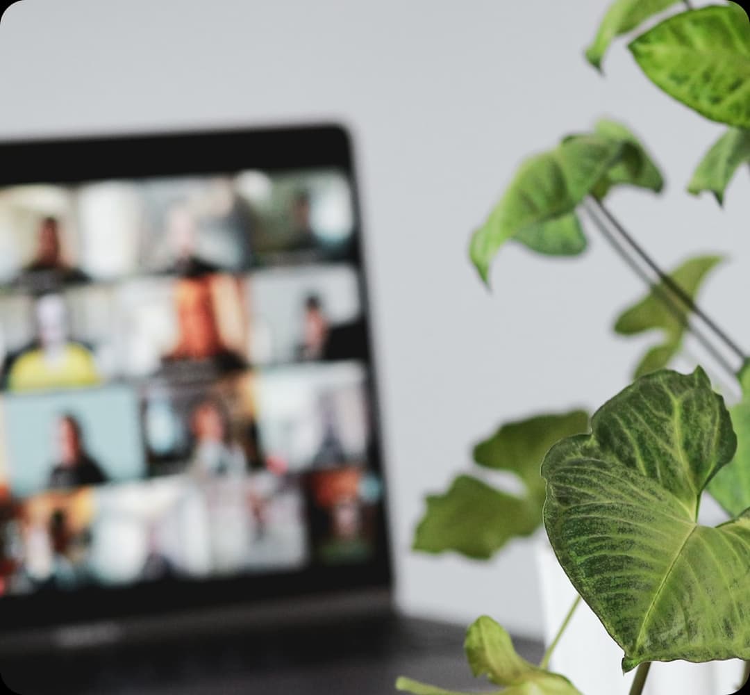 Professional_Sessions 1